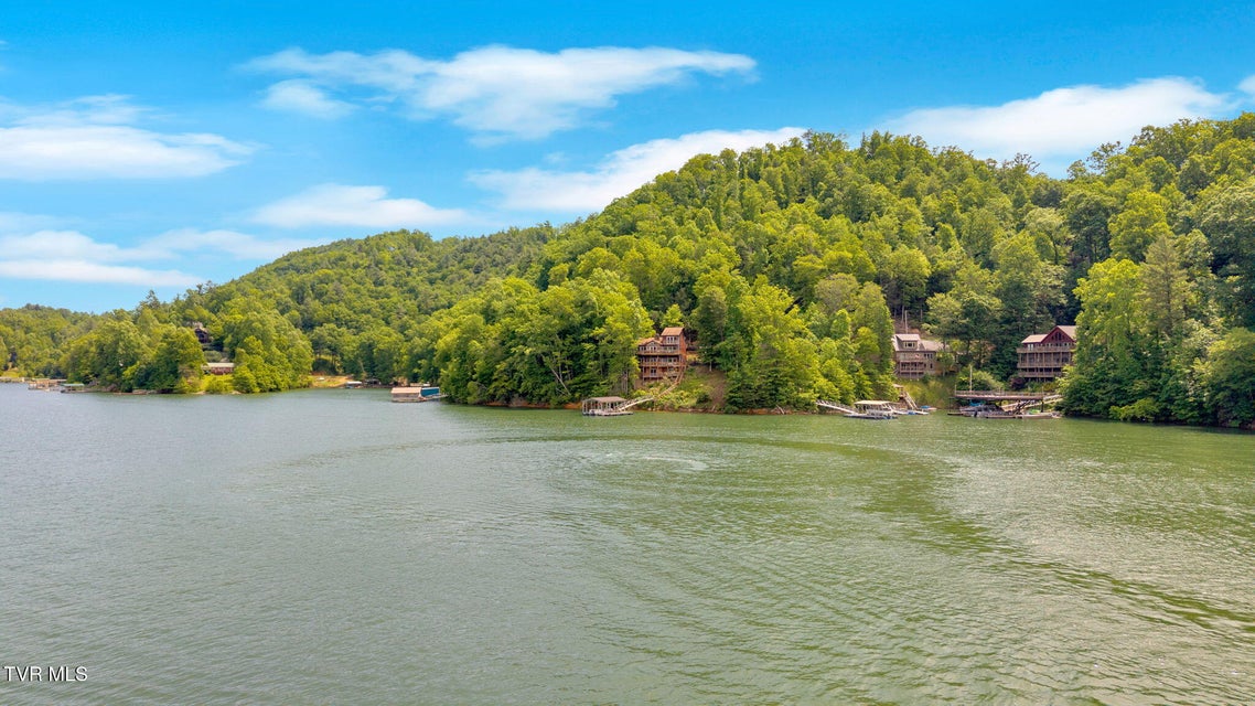 Photo #9: 310 Cove Ridge Lane