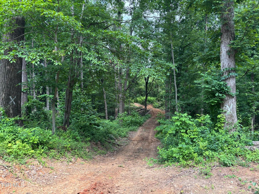 Photo #3: Tbd Buffalo Road
