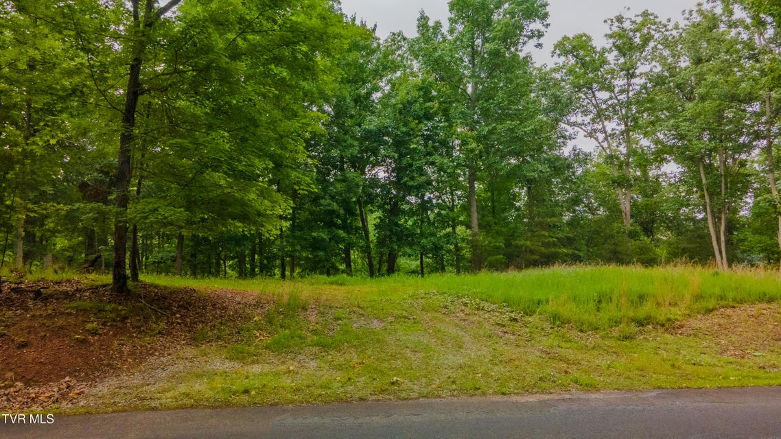 Photo #2: 323 Chelaque Way