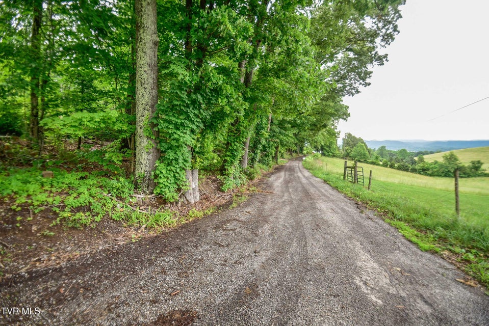 Photo #35: 184/202 Sandidge Hollow Road