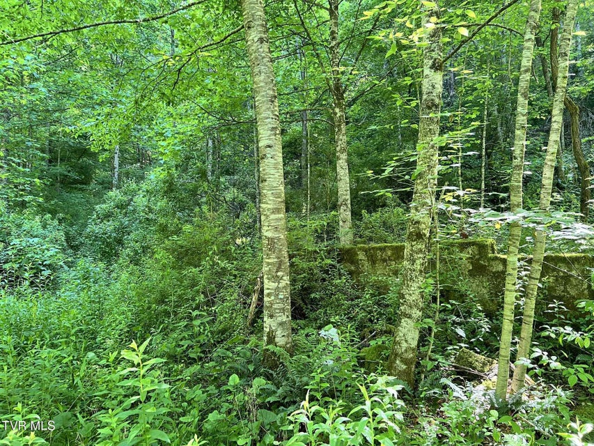 Photo #3: 7576 Wells Adams Road