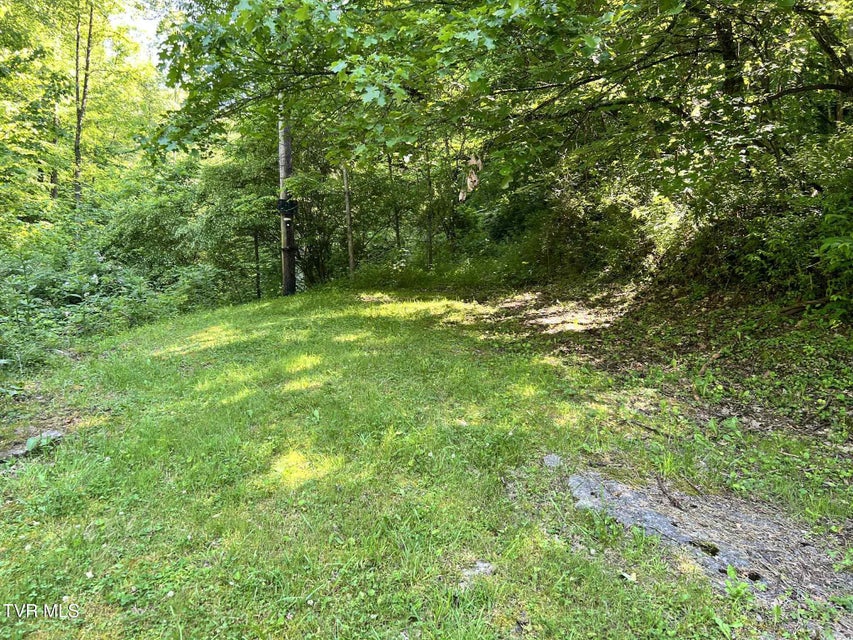 Photo #4: 7576 Wells Adams Road