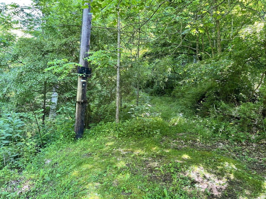 Photo #5: 7576 Wells Adams Road