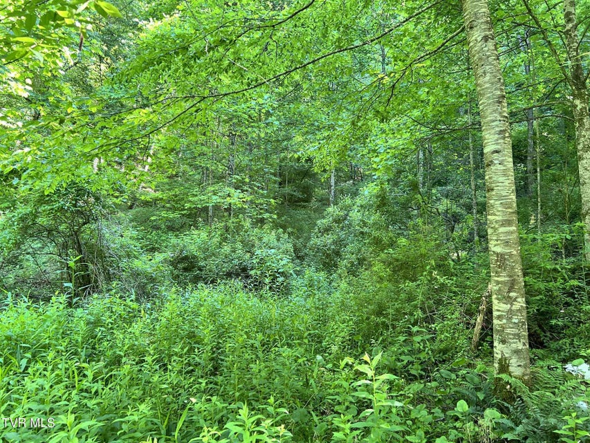 Photo #6: 7576 Wells Adams Road