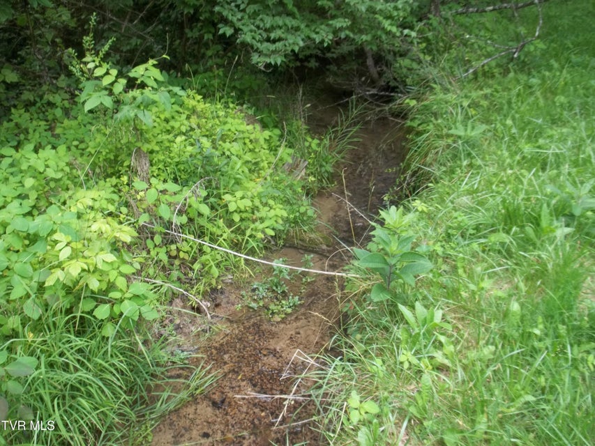 Photo #34: 1284 Powder Branch Road