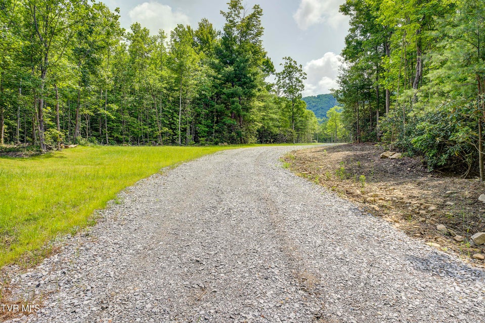 Photo #3: 2540 Shelton Mission Road