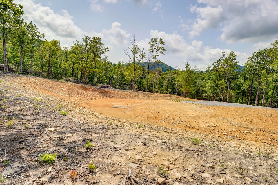Photo #18: 2540 Shelton Mission Road