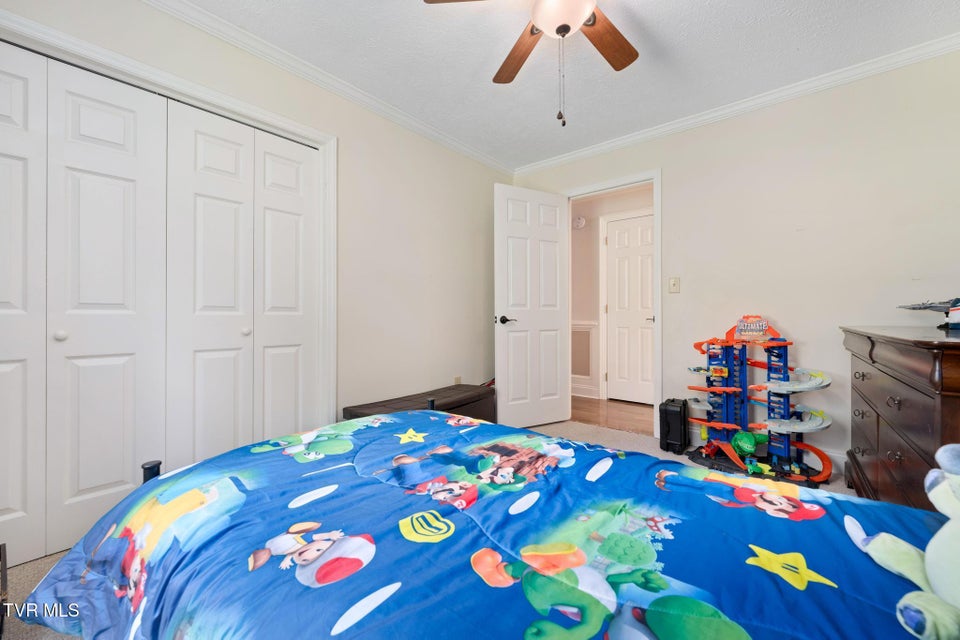 Photo #33: 699 Hemlock Street