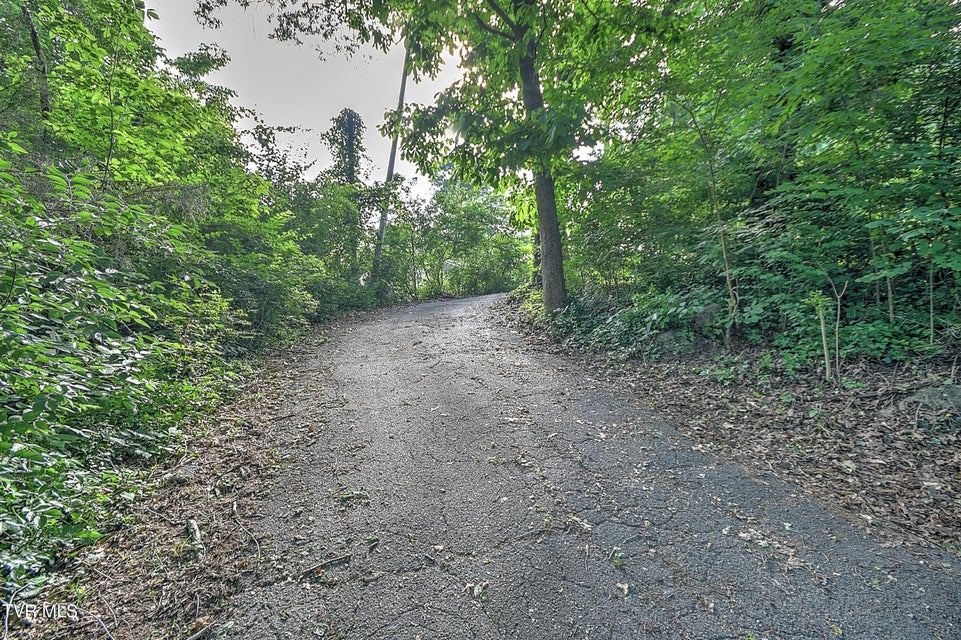 Photo #35: 609 Oakland Court
