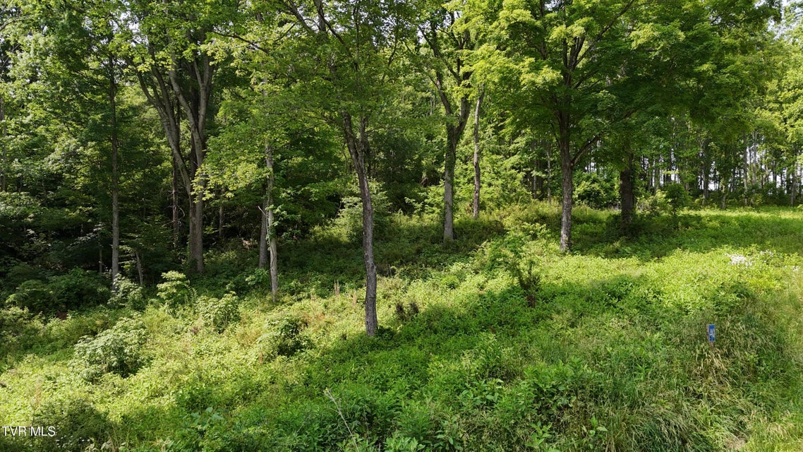 Photo #5: Tr 40 Cowan Town Road