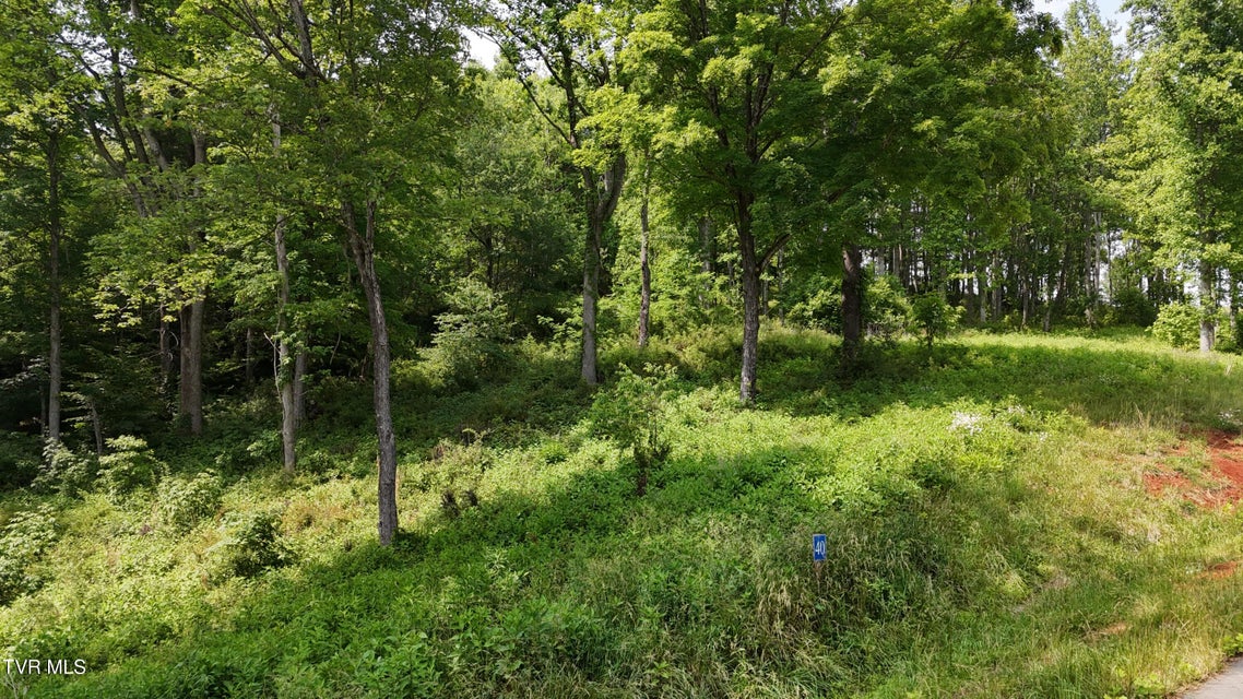 Photo #7: Tr 40 Cowan Town Road