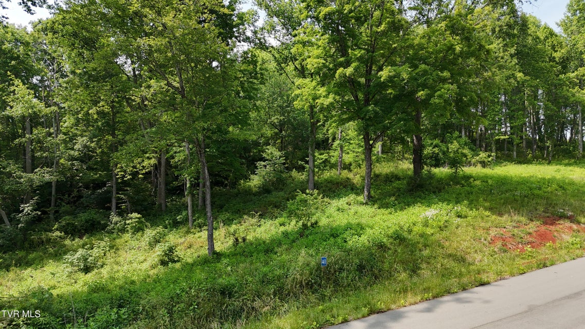 Photo #8: Tr 40 Cowan Town Road