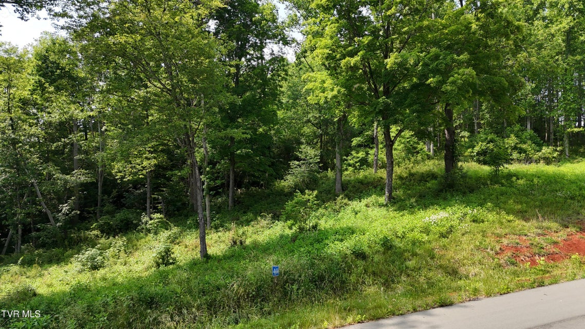 Photo #10: Tr 40 Cowan Town Road