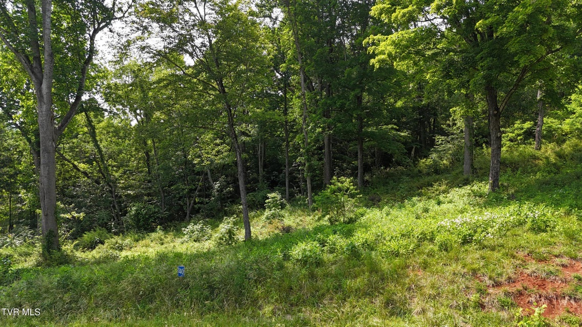 Photo #11: Tr 40 Cowan Town Road