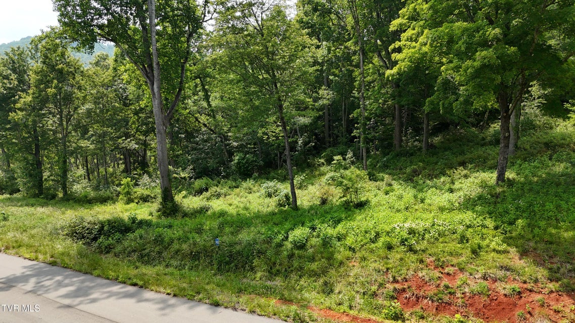 Photo #14: Tr 40 Cowan Town Road