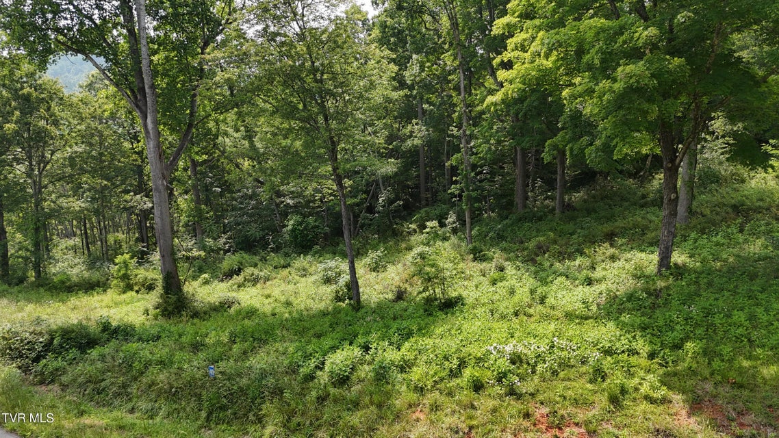 Photo #16: Tr 40 Cowan Town Road