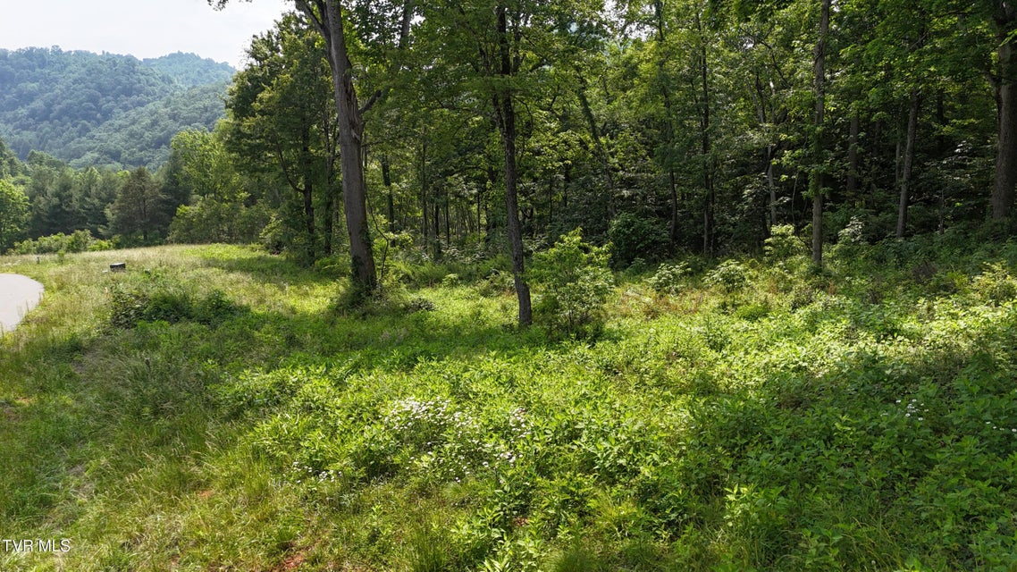 Photo #18: Tr 40 Cowan Town Road