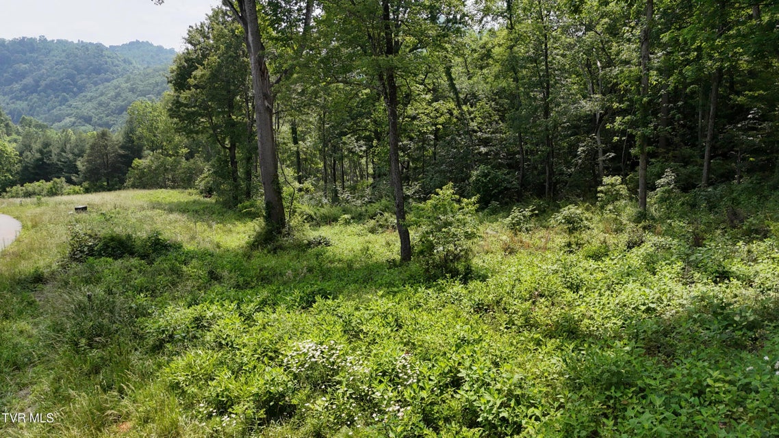 Photo #19: Tr 40 Cowan Town Road