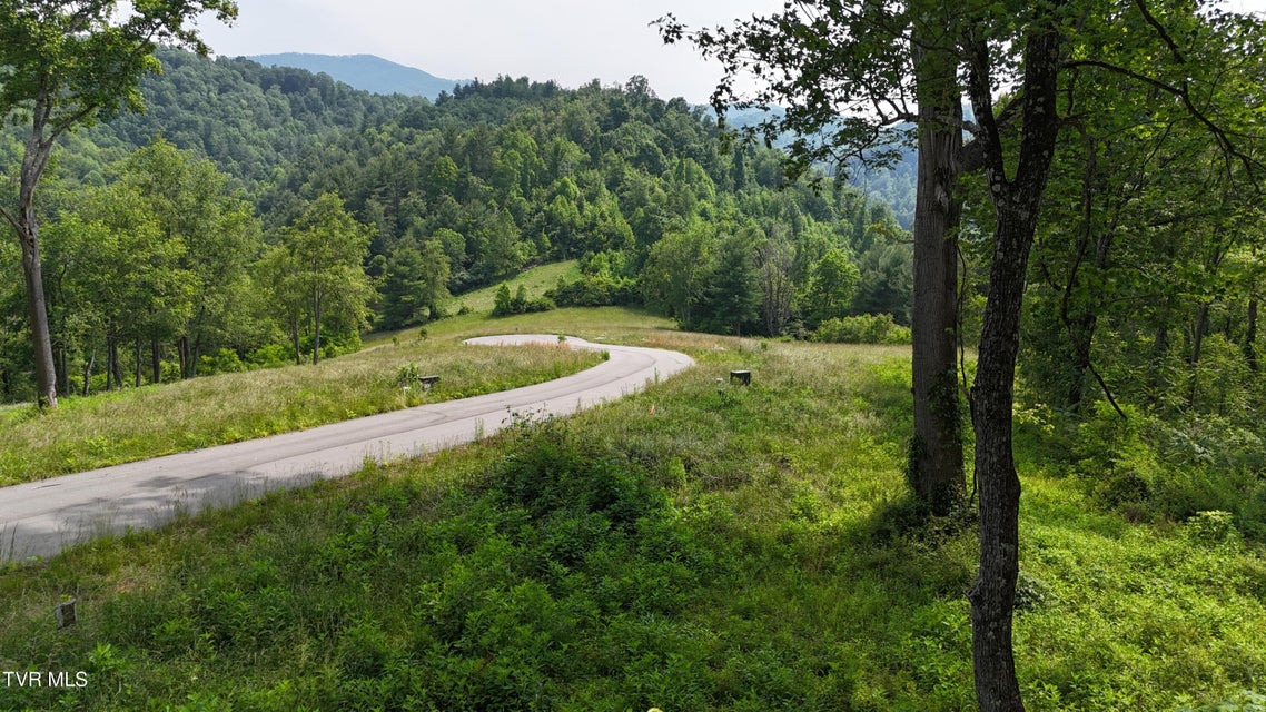 Photo #22: Tr 40 Cowan Town Road