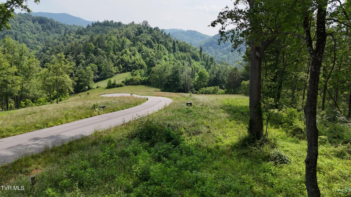 Photo #23: Tr 40 Cowan Town Road