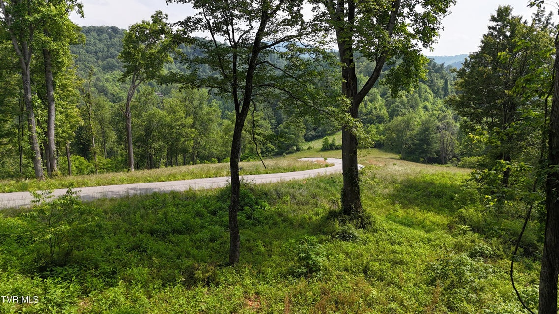 Photo #25: Tr 40 Cowan Town Road