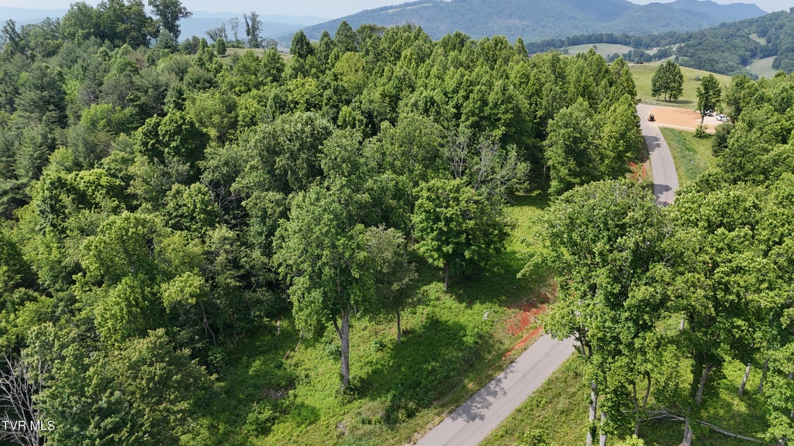 Photo #26: Tr 40 Cowan Town Road