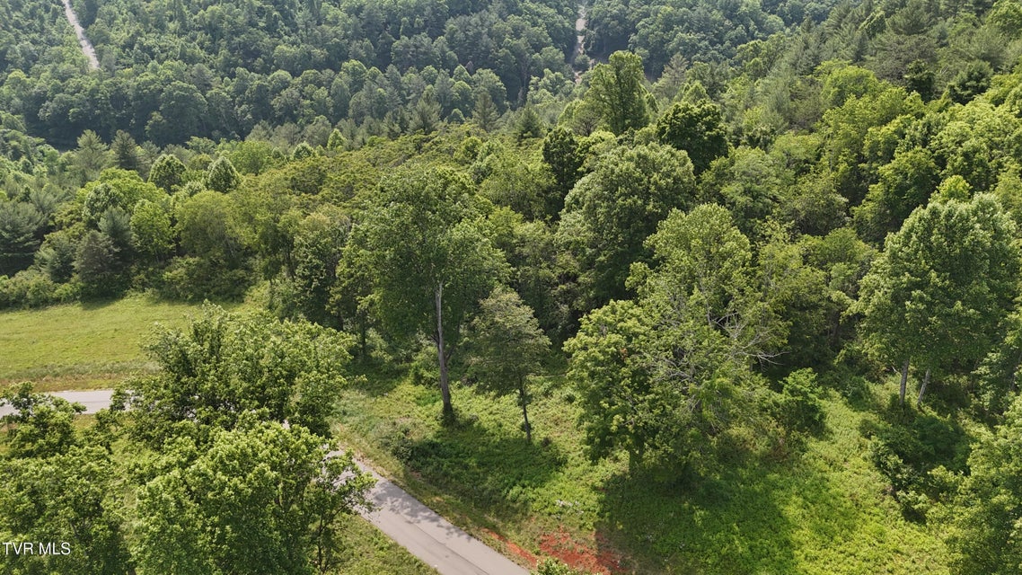 Photo #28: Tr 40 Cowan Town Road