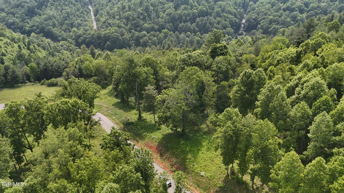 Photo #30: Tr 40 Cowan Town Road