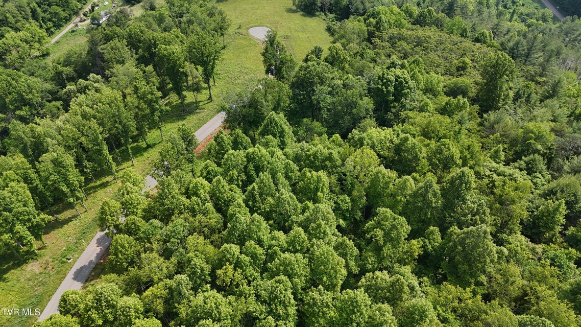 Photo #35: Tr 40 Cowan Town Road