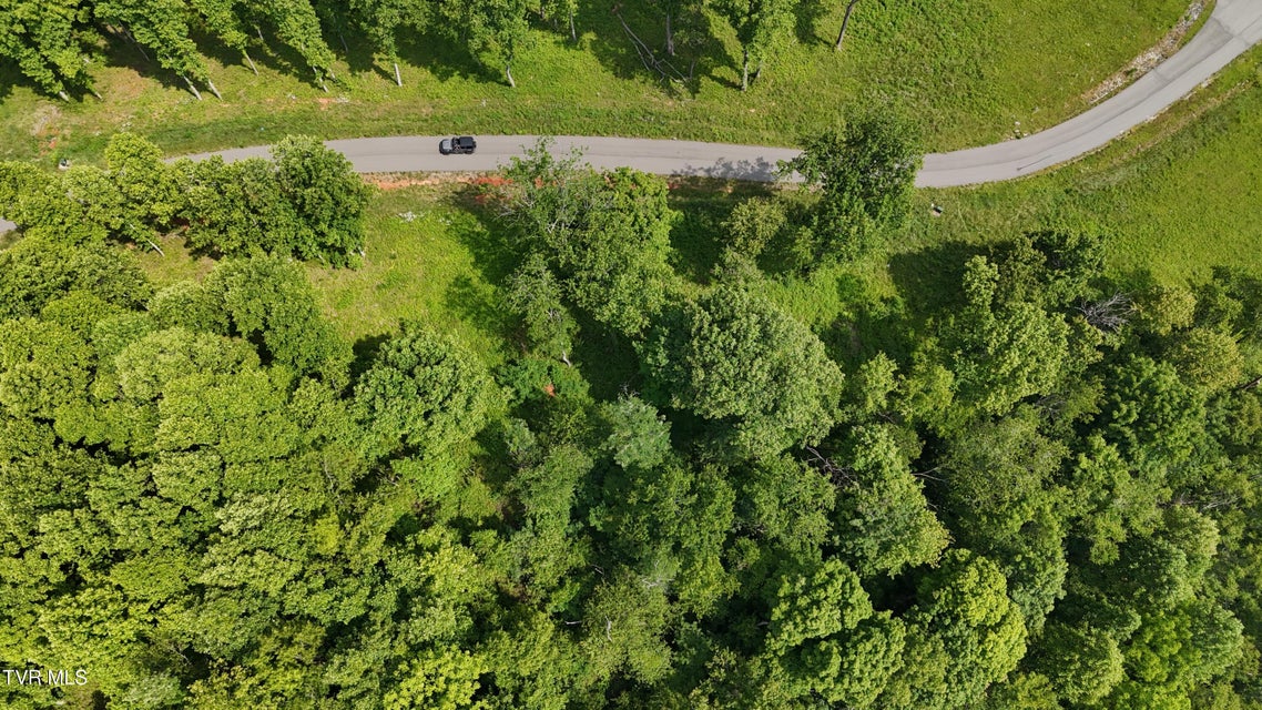 Photo #37: Tr 40 Cowan Town Road