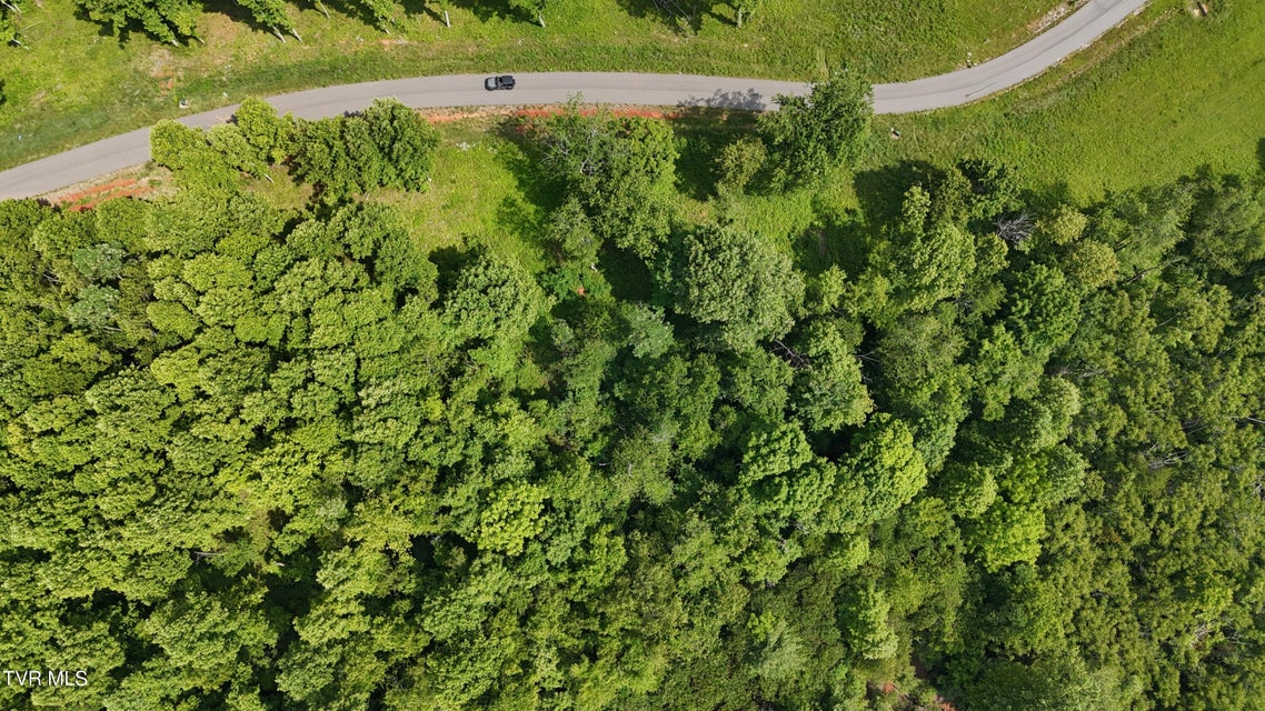 Photo #38: Tr 40 Cowan Town Road