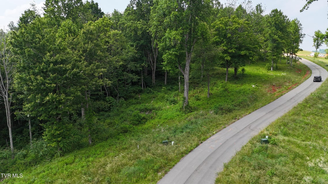 Photo #48: Tr 40 Cowan Town Road