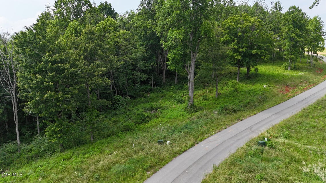 Photo #49: Tr 40 Cowan Town Road