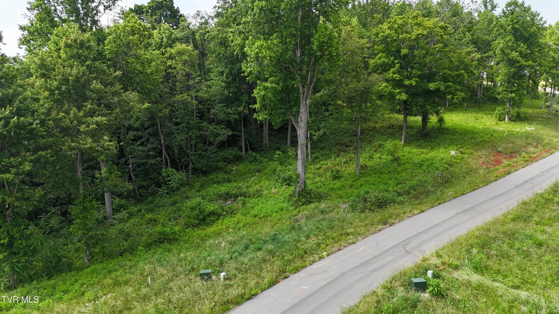 Photo #50: Tr 40 Cowan Town Road