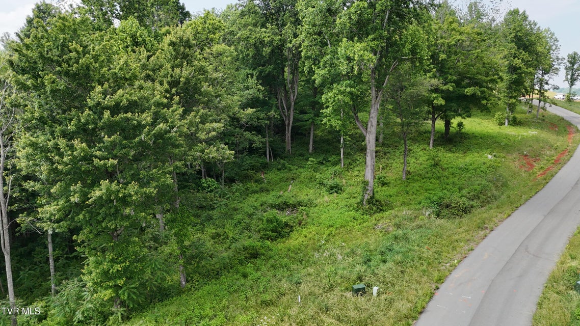 Photo #51: Tr 40 Cowan Town Road