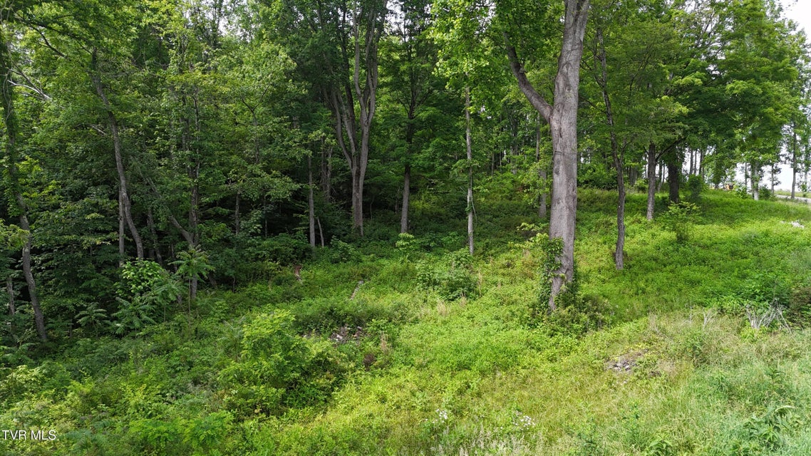 Photo #53: Tr 40 Cowan Town Road