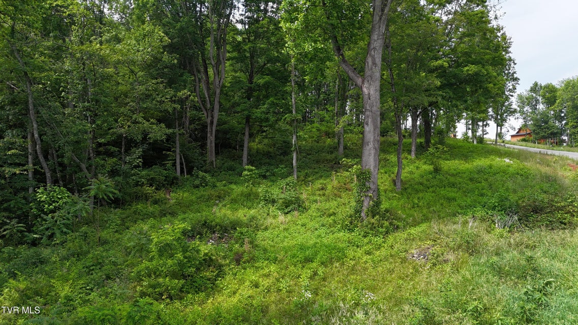 Photo #54: Tr 40 Cowan Town Road