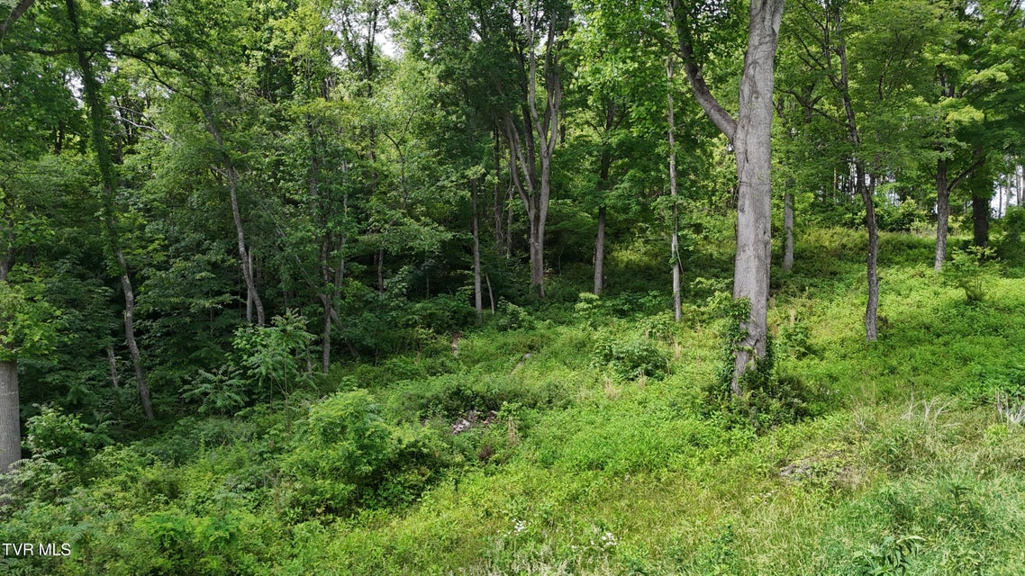 Photo #55: Tr 40 Cowan Town Road