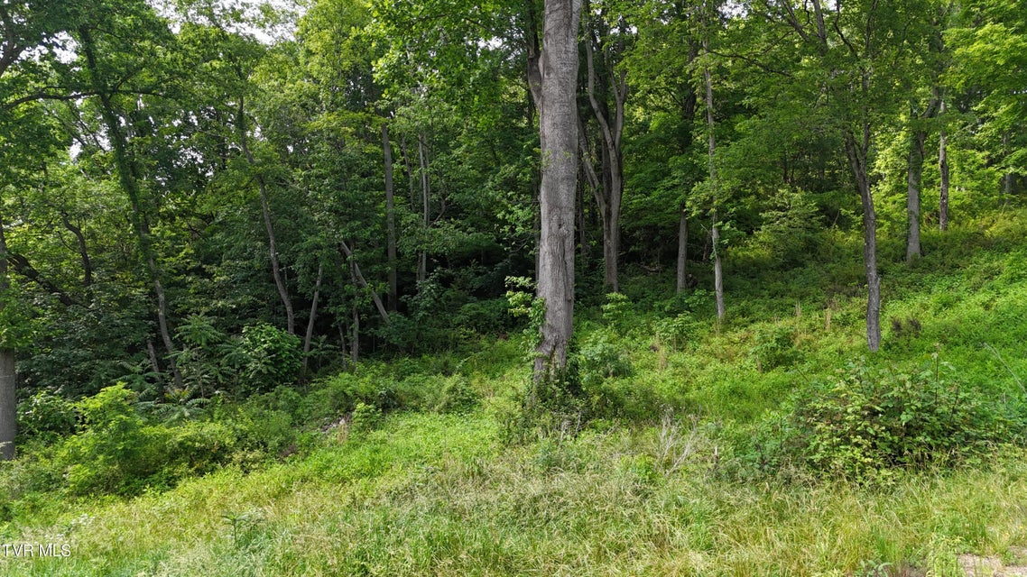 Photo #56: Tr 40 Cowan Town Road