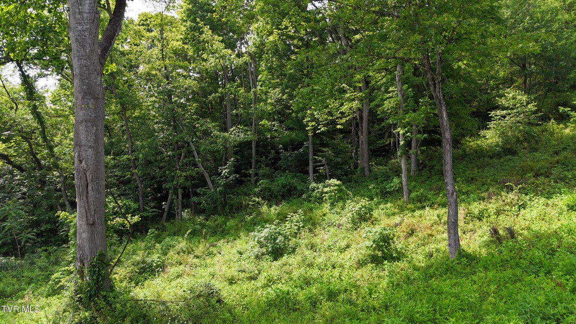 Photo #57: Tr 40 Cowan Town Road