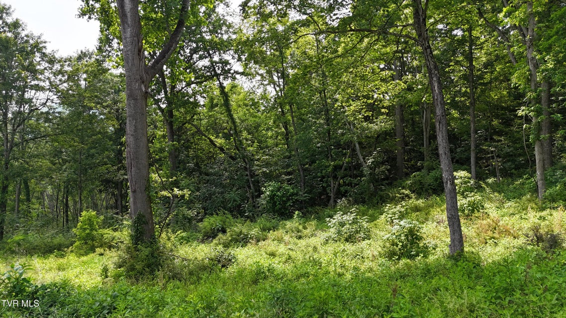 Photo #58: Tr 40 Cowan Town Road