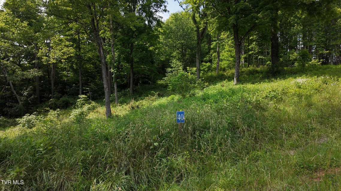 Photo #59: Tr 40 Cowan Town Road