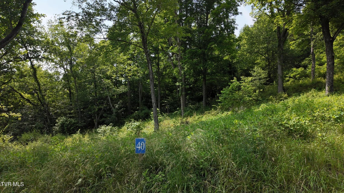 Photo #60: Tr 40 Cowan Town Road