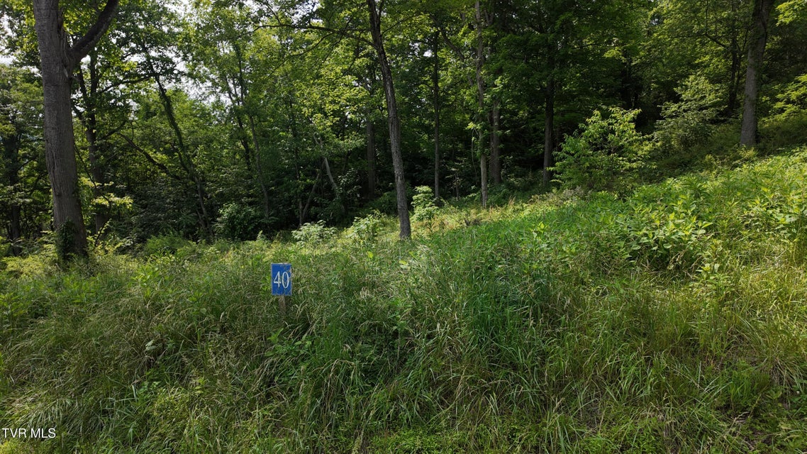 Photo #61: Tr 40 Cowan Town Road