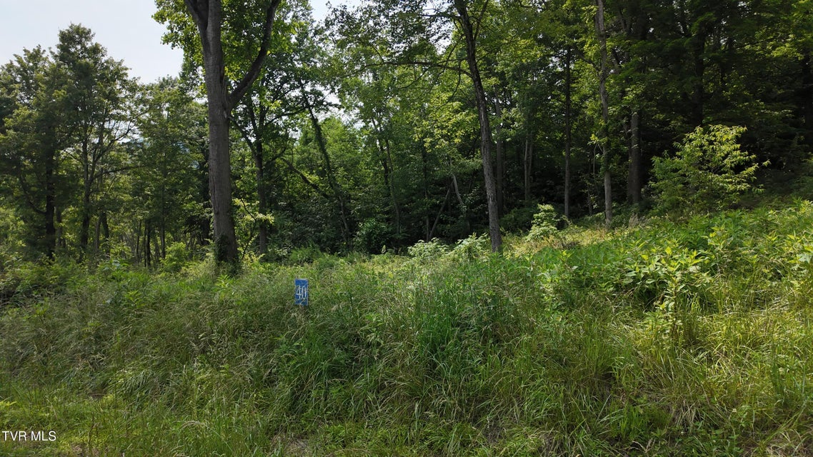 Photo #62: Tr 40 Cowan Town Road