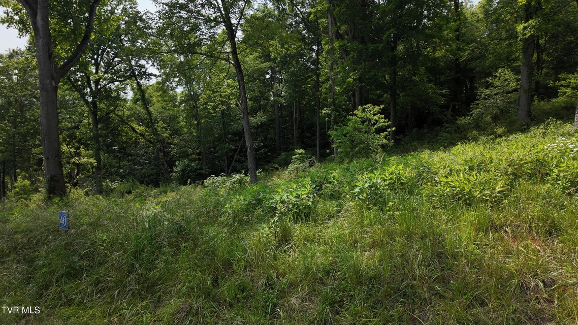 Photo #63: Tr 40 Cowan Town Road