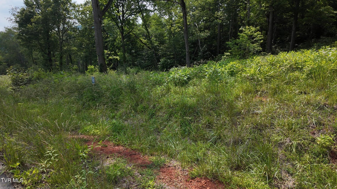 Photo #65: Tr 40 Cowan Town Road