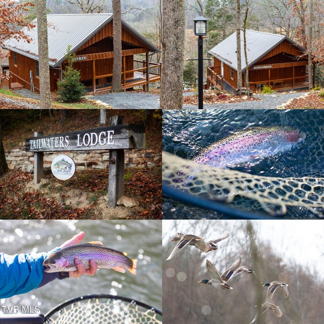 Photo #2: 383 Tva Road