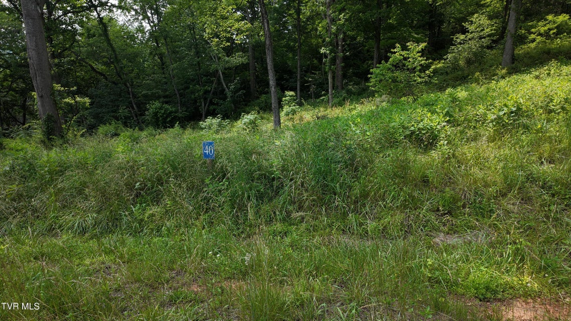 Photo #66: Tr 40 Cowan Town Road