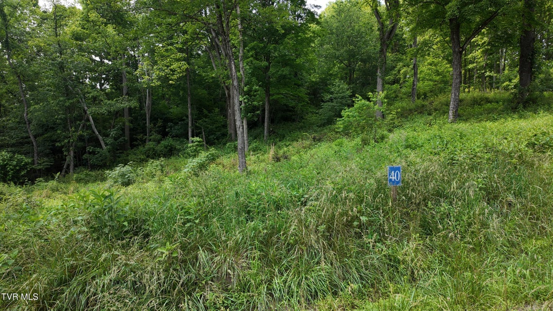 Photo #67: Tr 40 Cowan Town Road